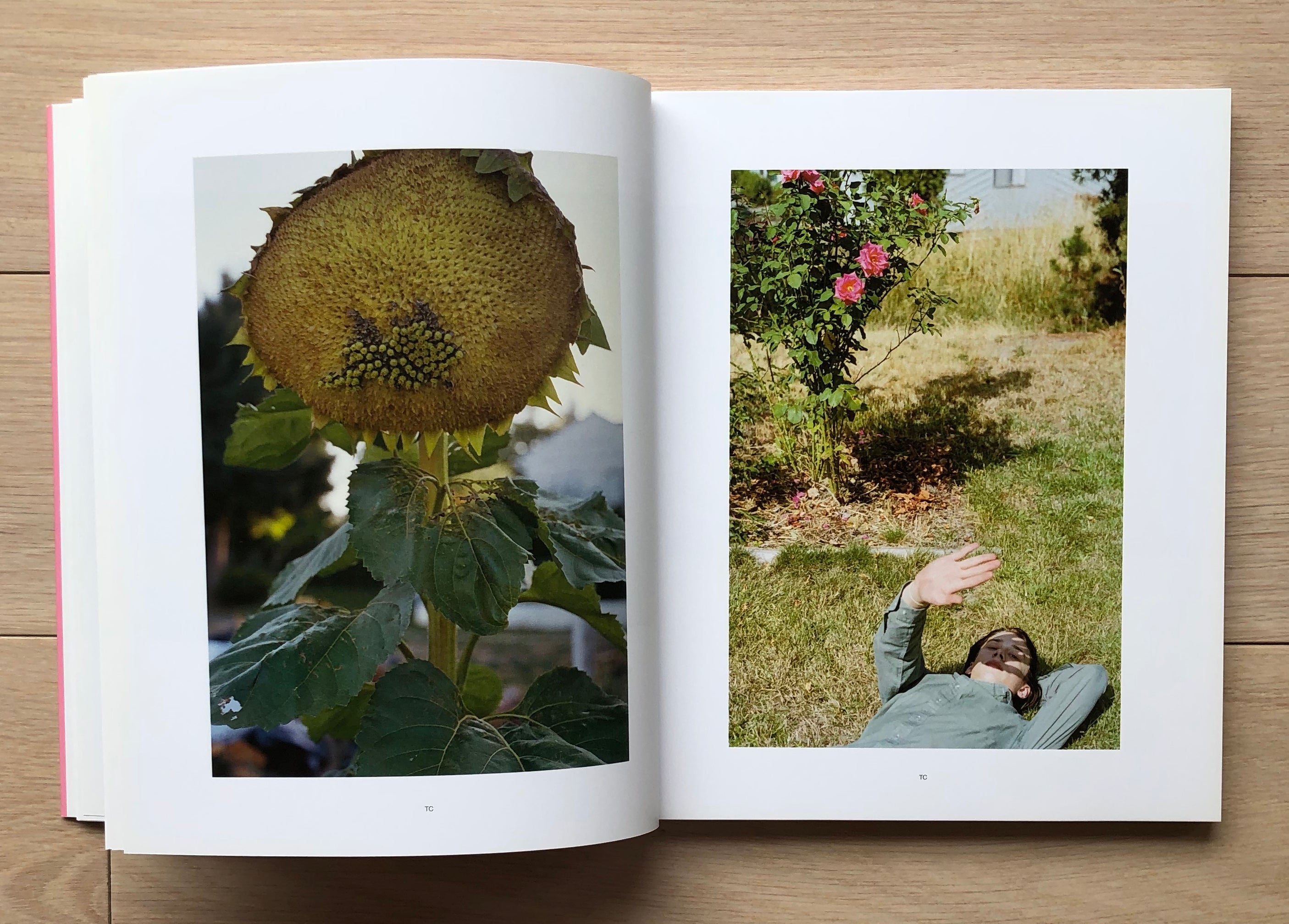 Thumbsucker, Photography From The Film By Mike Mills (Mark Borthwick, Todd Cole, Takashi Homma, Ryan McGinley, Ed Templeton), 2005